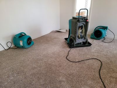 Carpet Repair