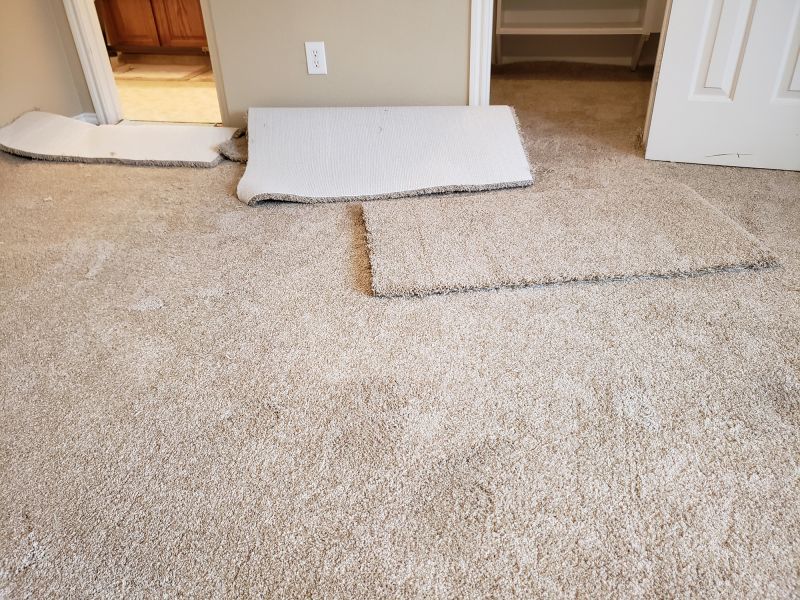 Residential Carpet Repair detail